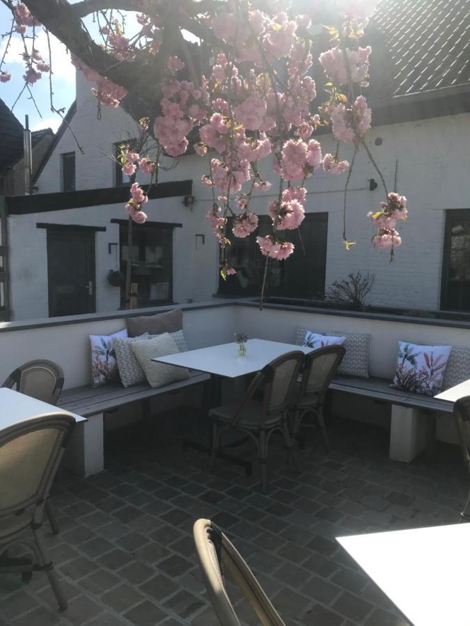 Bed & Breakfast Ons Hofke Lubbeek