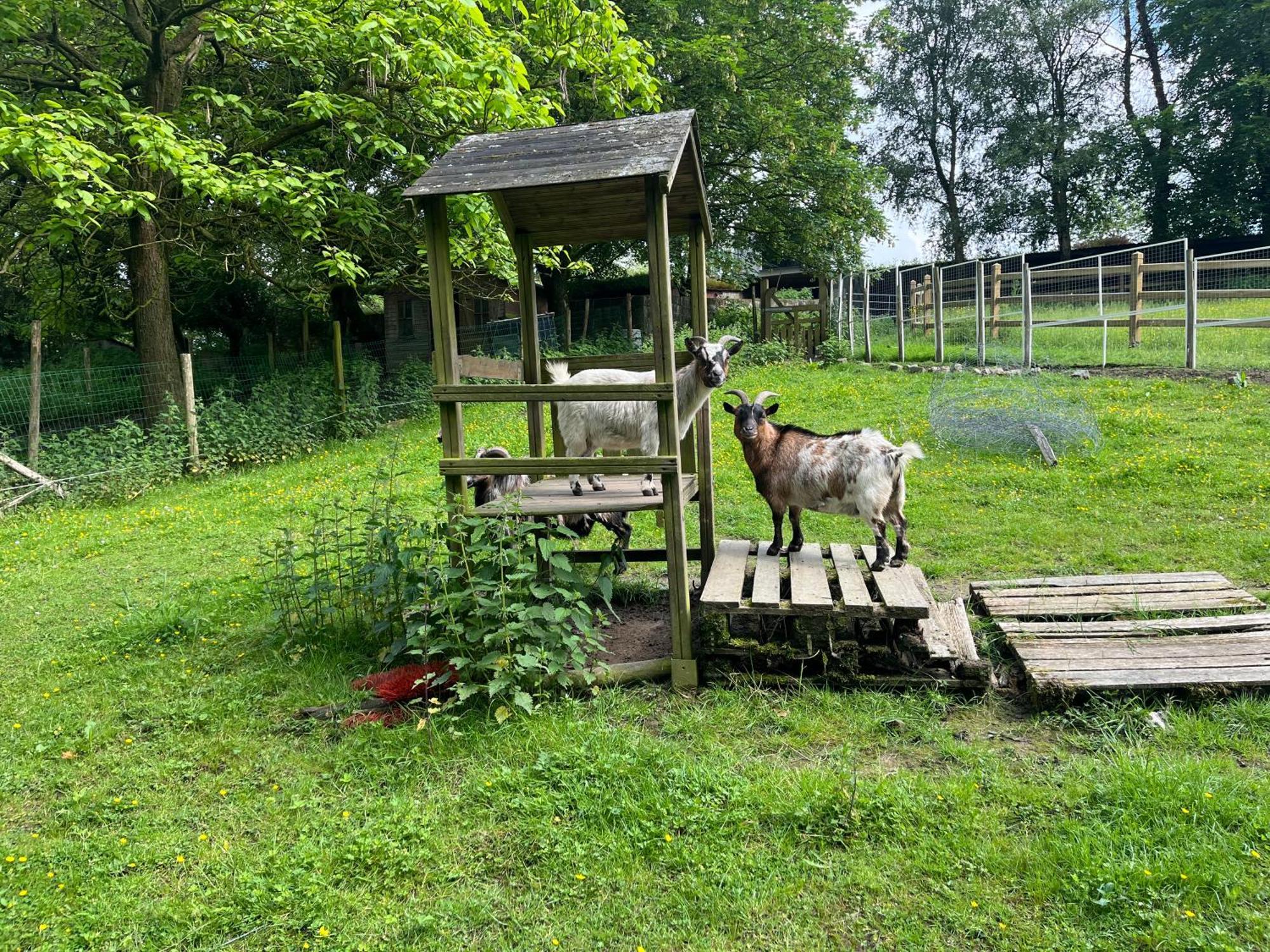 Ons Hofke Bed & Breakfast *