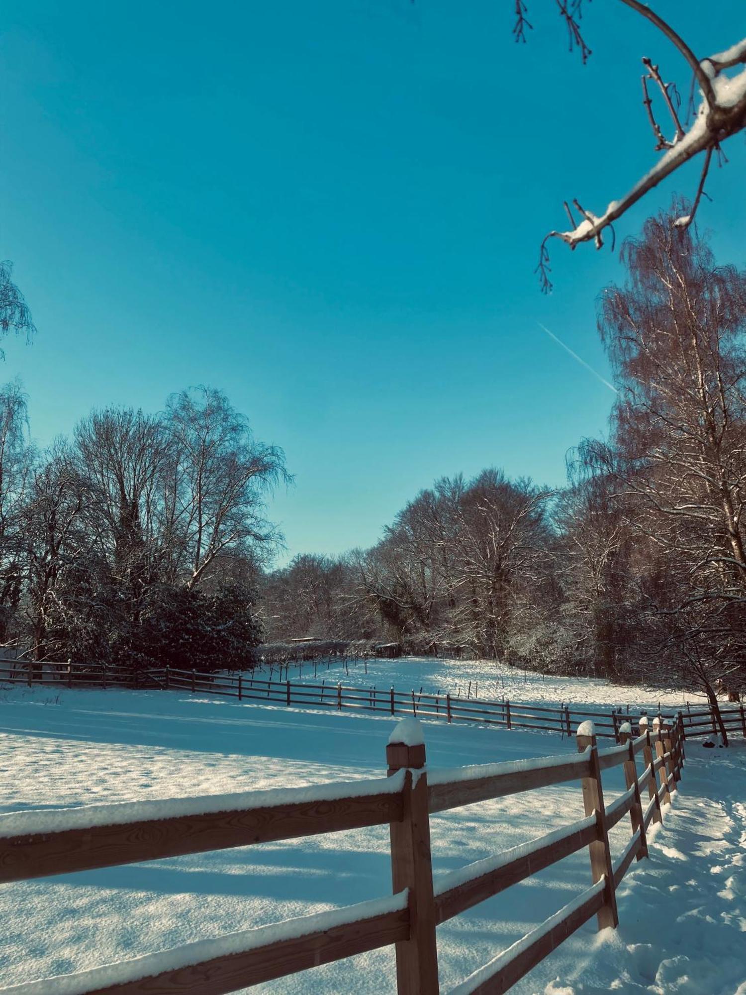Bed & Breakfast Ons Hofke Lubbeek