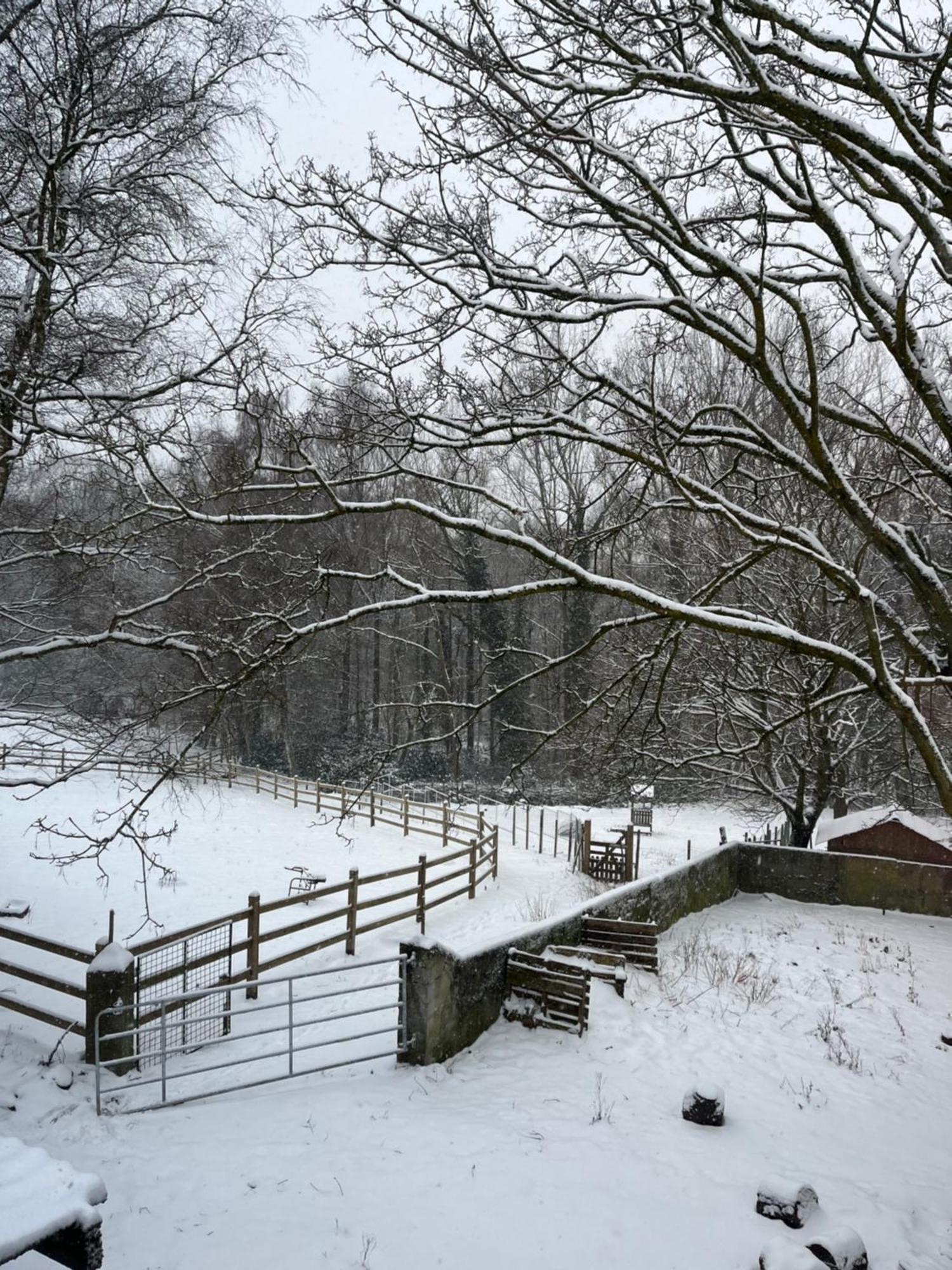 Ons Hofke Bed & Breakfast